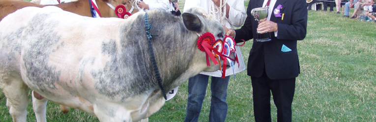 pembrokeshire county show