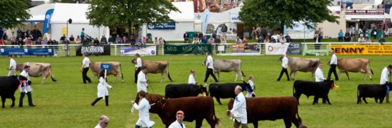 royal-bath-and-west-show