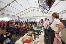 Dartmouth Food Festival