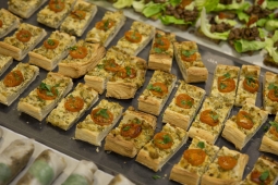 Brighton Vegan Festival