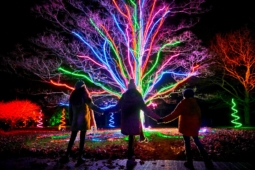 Leeds Castle Christmas Lights