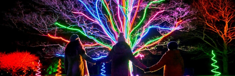 Leeds Castle Christmas Lights