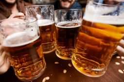 Alton Beer Festival Summer