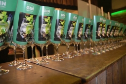 Big Big Gin Festival Edinburgh