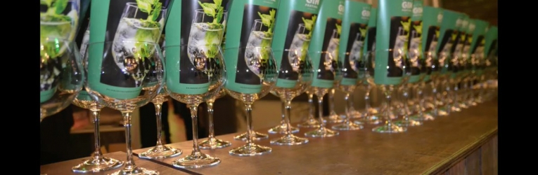 Big Big Gin Festival Edinburgh