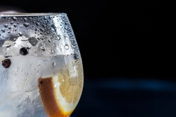 Gin and Rum Festival Derby