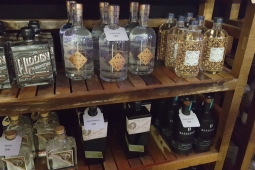 Gin Festival Maidstone