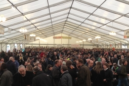 Reading Beer and Cider Festival