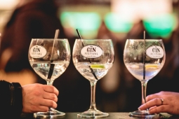 St Albans Gin Festival
