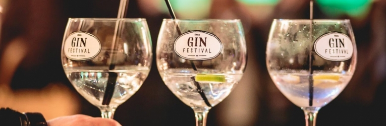 St Albans Gin Festival