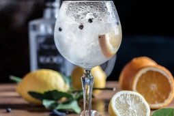 Cornish Gin and Drinks Festival