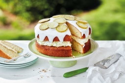 12 Tasty Gin & Tonic Cake Recipes To Try