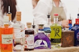 The Great British Gin Festival Reading