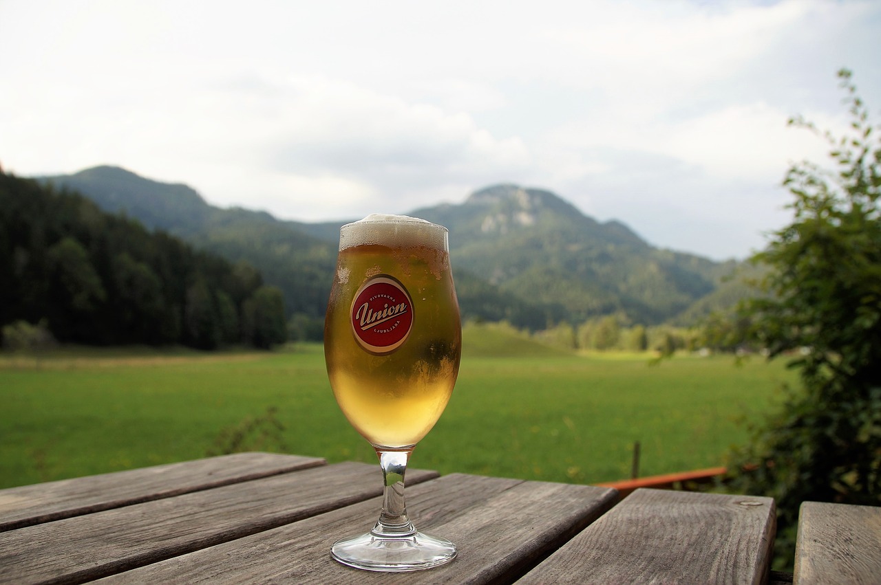 Tulip Beer Glass